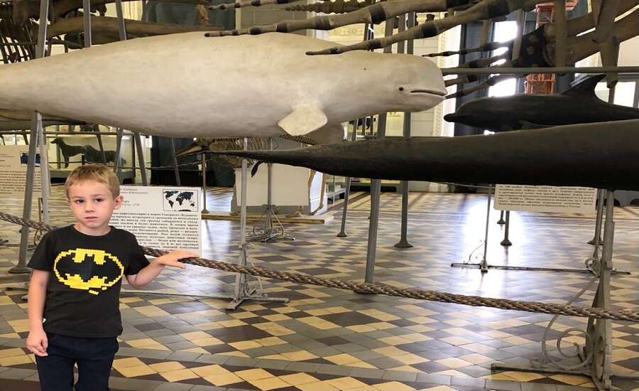 Fun for kids - planetarium