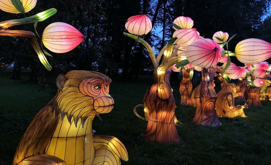 Primorsky Victory Park, festival