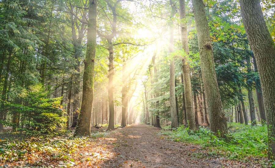 Natural wonders, Kolomenskoye, Moscow