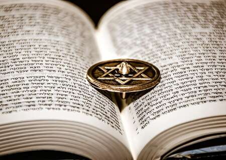 Tora
Photo by Ri Butov website Pixabay 