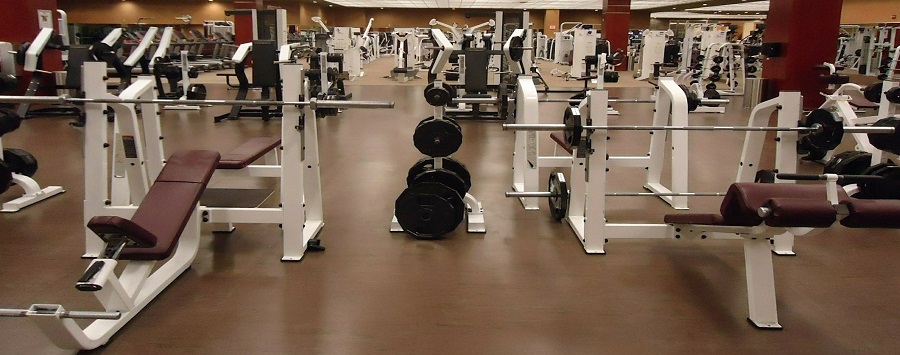 Fitness Clubs